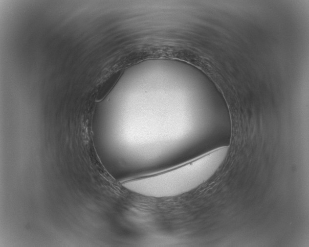 X0000064051013200601270952