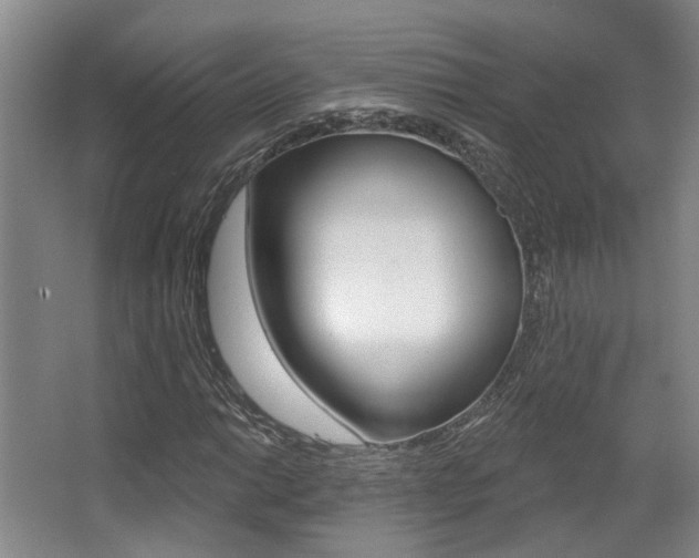 X0000064051014200601270953