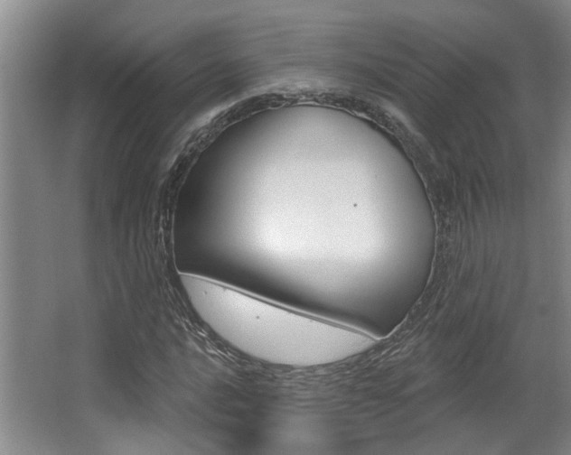 X0000064051016200601270953