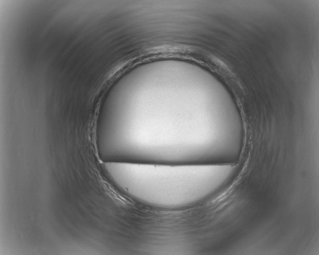 X0000064051017200601270953