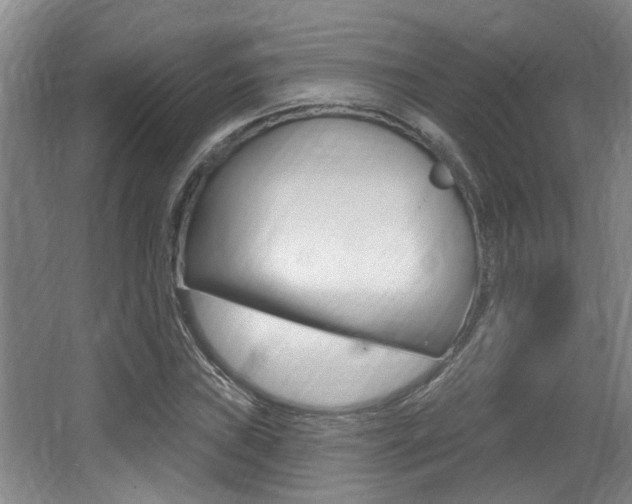 X0000064051019200601270953