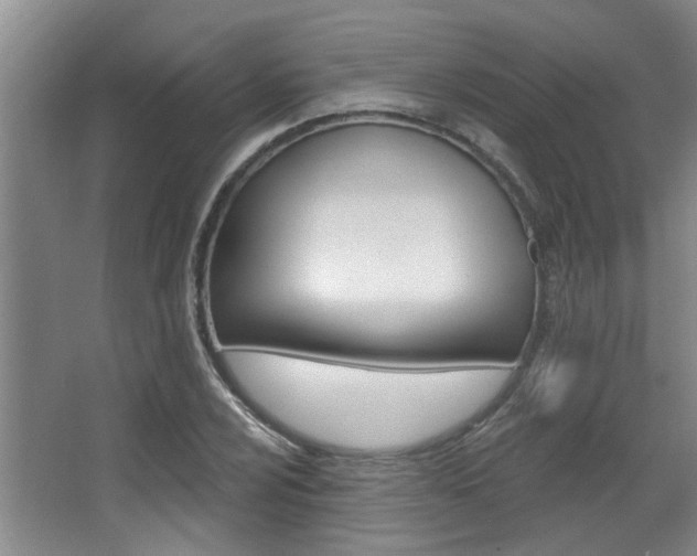 X0000064051024200601270953