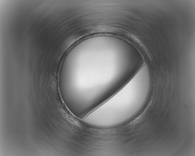 X0000064051025200601270953