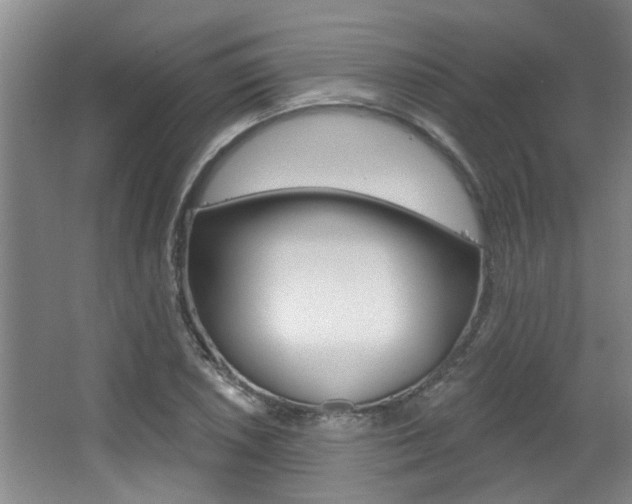 X0000064051026200601270953