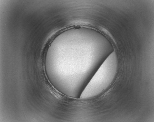 X0000064051027200601270953