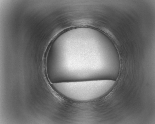 X0000064051031200601270953