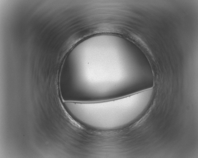 X0000064051033200601270953