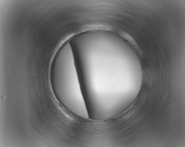 X0000064051043200601270953
