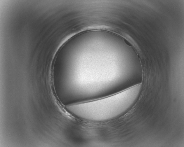 X0000064051044200601270953