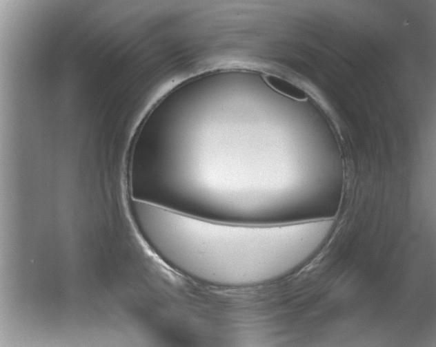 X0000064051048200601270953