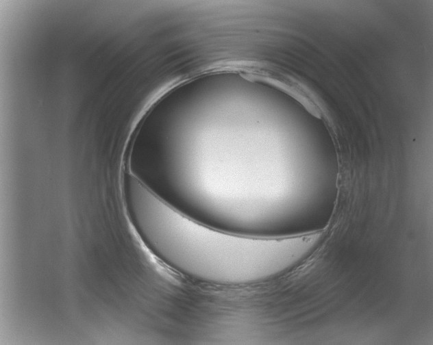 X0000064051050200601270953