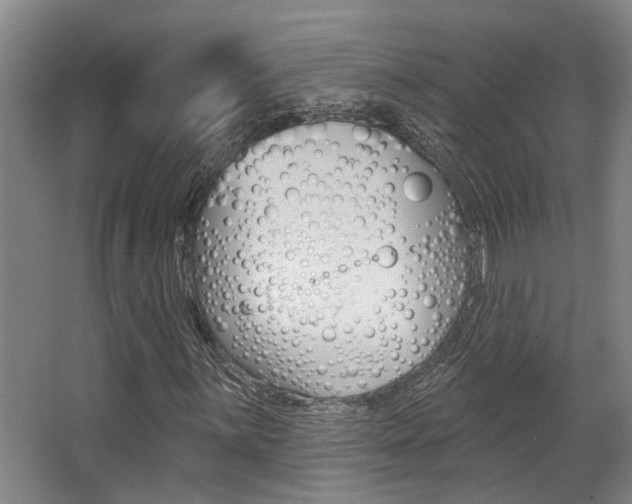 X0000064051059200601270952