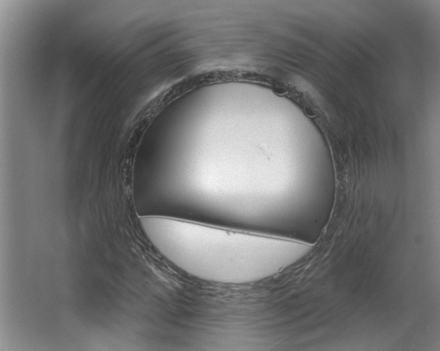 X0000064051064200601270952