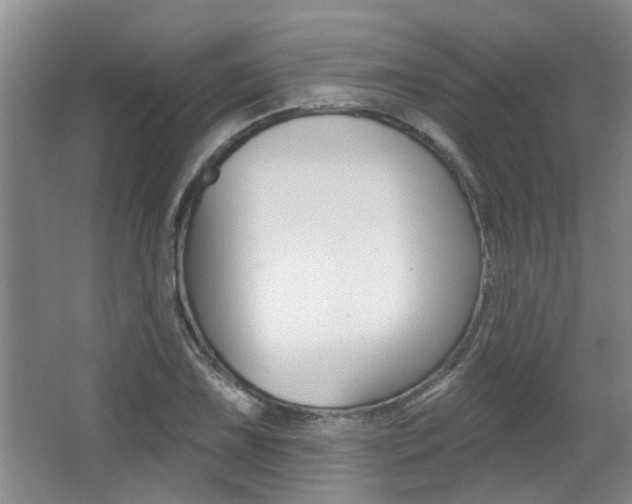 X0000064051075200601270952
