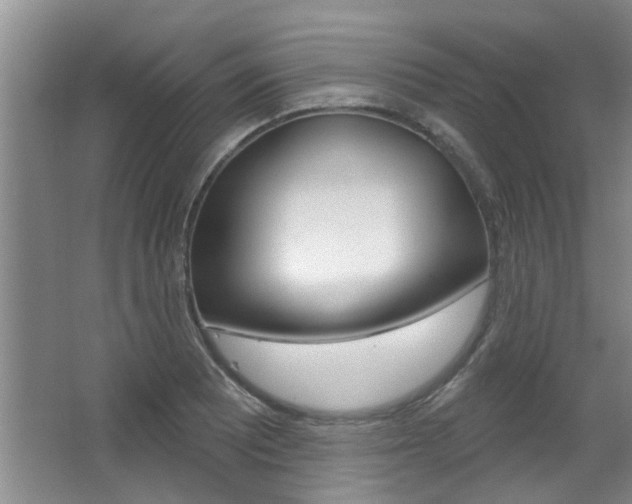 X0000064051081200601270952