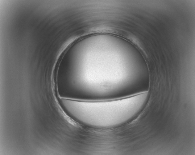 X0000064051082200601270952