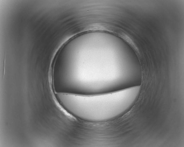 X0000064051084200601270952