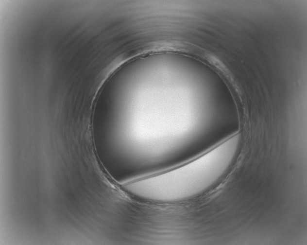 X0000064051089200601270952