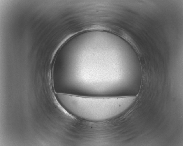 X0000064051092200601270952