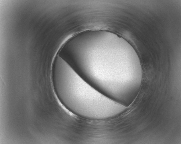 X0000064051095200601270952