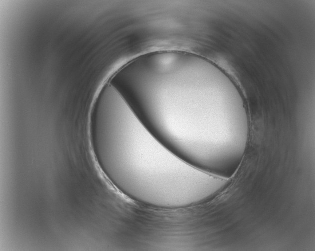 X0000064051096200601270952