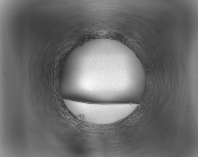 X0000064051105200601270951