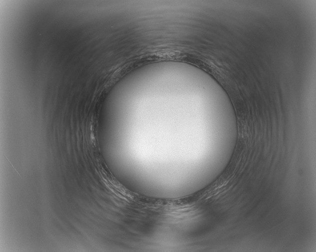 X0000064051106200601270951