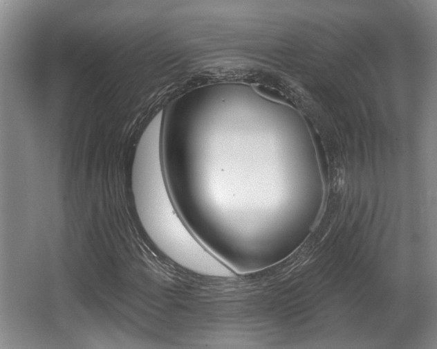 X0000064051108200601270951
