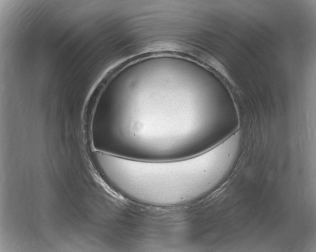X0000064051116200601270951