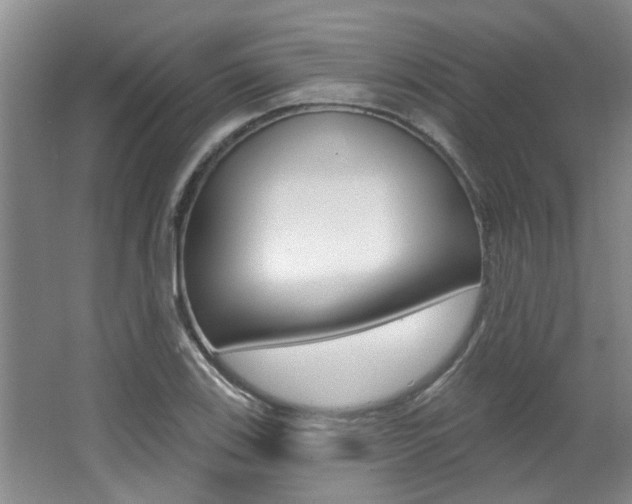 X0000064051123200601270951