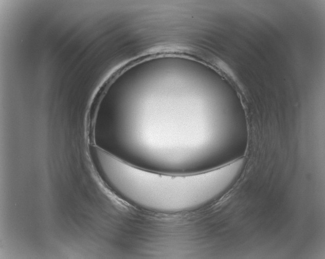 X0000064051124200601270951