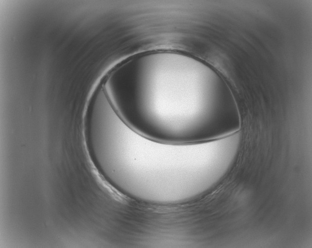 X0000064051132200601270951