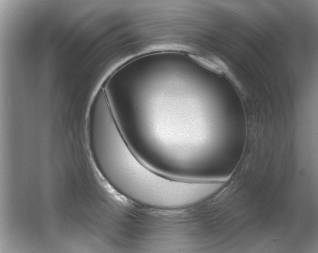 X0000064051140200601270951