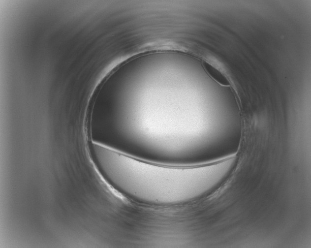 X0000064051141200601270951