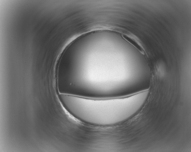 X0000064051143200601270951