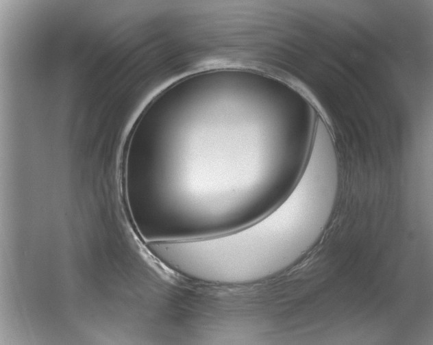 X0000064051148200601270952