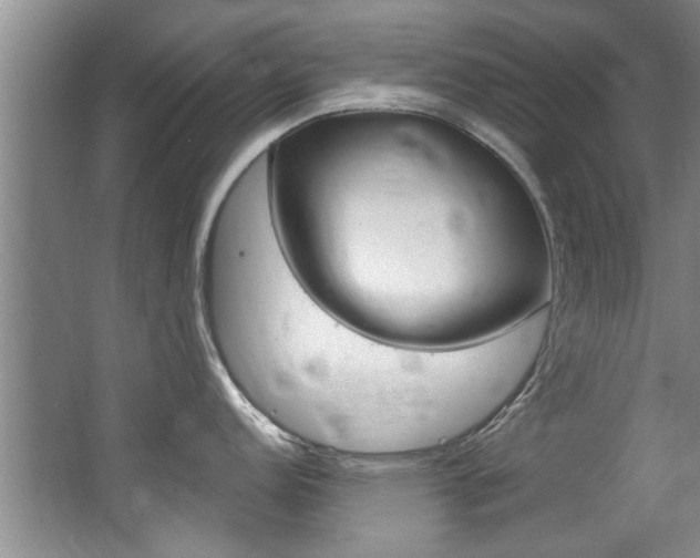 X0000064051152200601270952