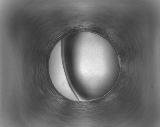 X0000064051156200601270951