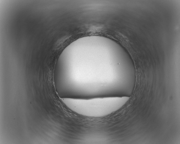 X0000064051158200601270951