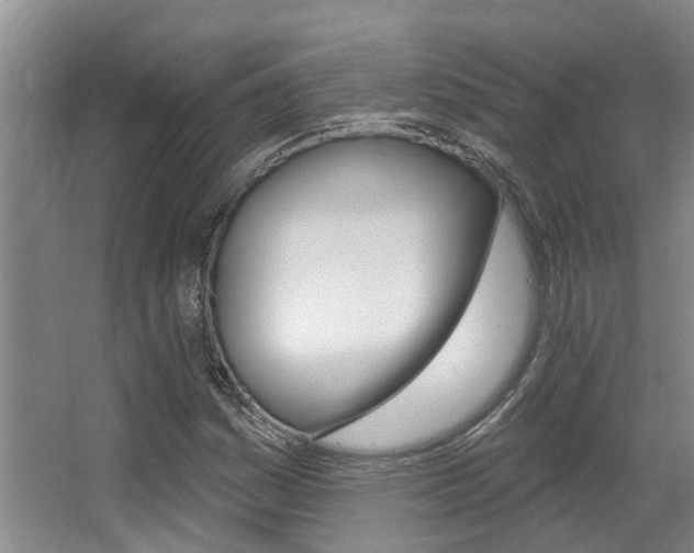 X0000064051161200601270951