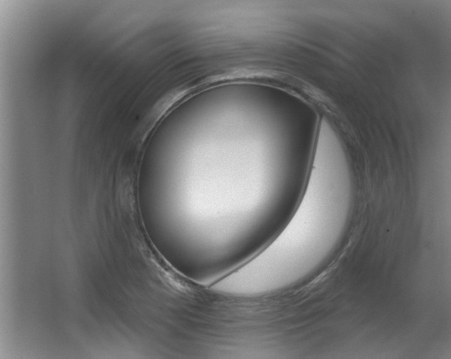 X0000064051177200601270950