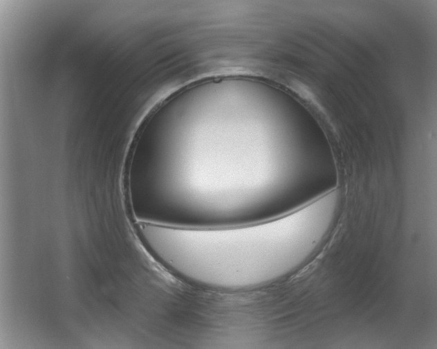 X0000064051181200601270950