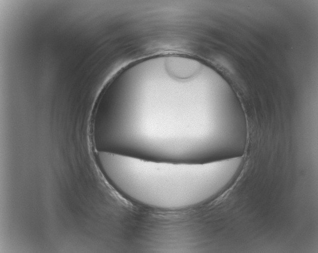 X0000064051182200601270950
