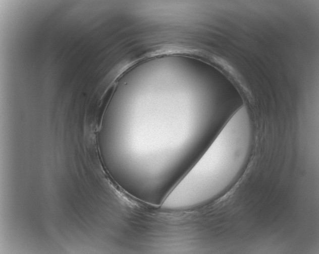 X0000064051185200601270950