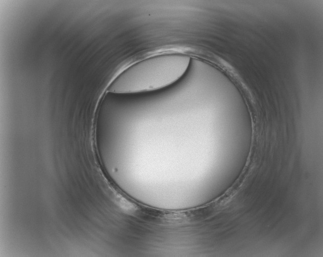 X0000064051186200601270950