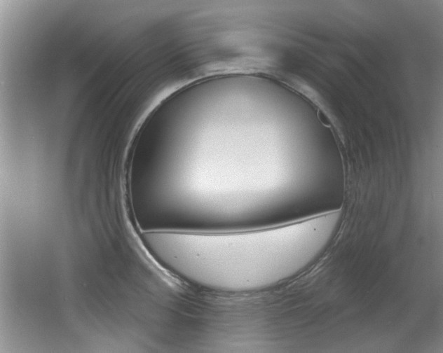 X0000064051187200601270950