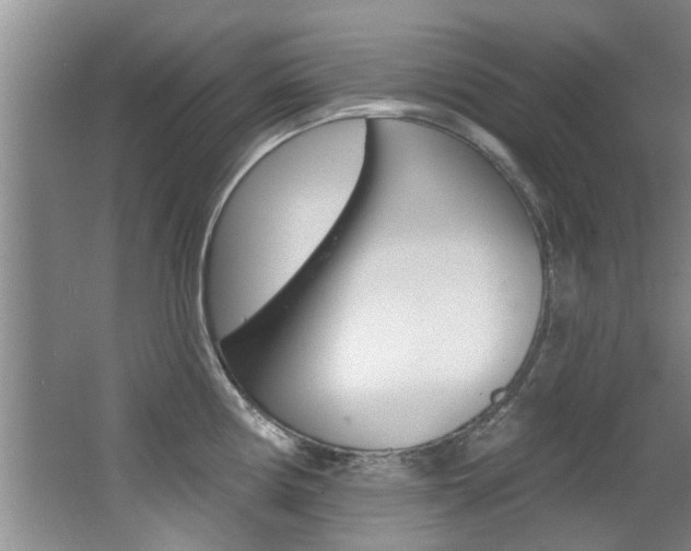 X0000064051194200601270950