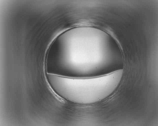 X0000064051195200601270950