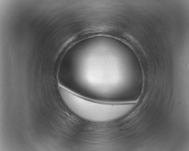 X0000064051210200601270949