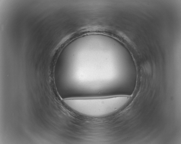 X0000064051213200601270949